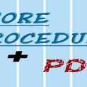 To use Store Procedure with PDO
