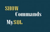 MySQL SHOW Commands