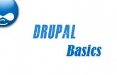 Drupal Basic Explained