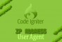 Get IP address in CodeIgniter