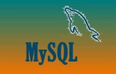 MySQL Connection: Let be Expert