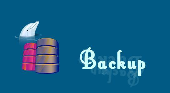 Database BackUp Script