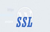 SSL with wordpress