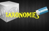 To Delete Taxonomies from database in wordpess