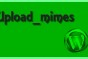 Customize Upload mime types in wordpress