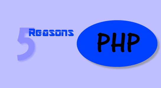 Five Reasons Why You Should Go With PHP