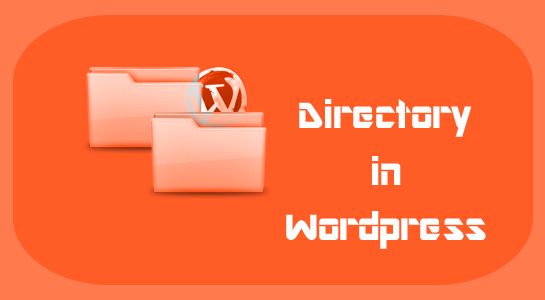 To Create own directory in Wordpress Upload folder