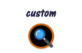 Custom Search in Wordpres