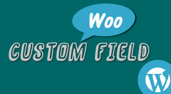 To Create custom field in Woocommerce Products Admin Panel