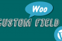 To Create custom field in Woocommerce Products Admin Panel