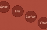 Add Custom Field in QuickEdit Option Wordpress