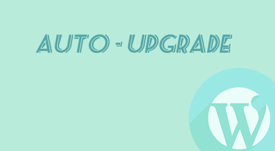 To Configure Auto Updates in Wordpress