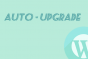 To Configure Auto Updates in Wordpress