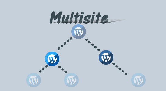 WordPress Multisite Explained