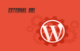 Allow External domain in Wordpress