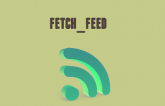 How to fetch and display feed in WordPress