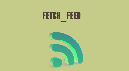 How to fetch and display feed in WordPress