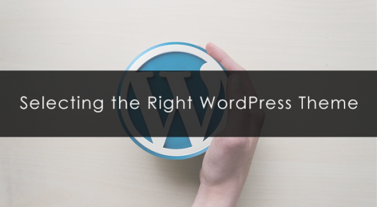 selecting-the-right-wordpress-theme