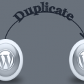 php duplicate title