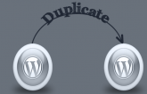 php duplicate title