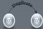 php duplicate title
