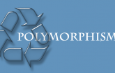 Understanding of Polymorphism in PHP