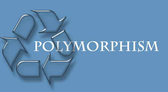 Understanding of Polymorphism in PHP