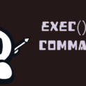 How to execute PHP code from the command line?